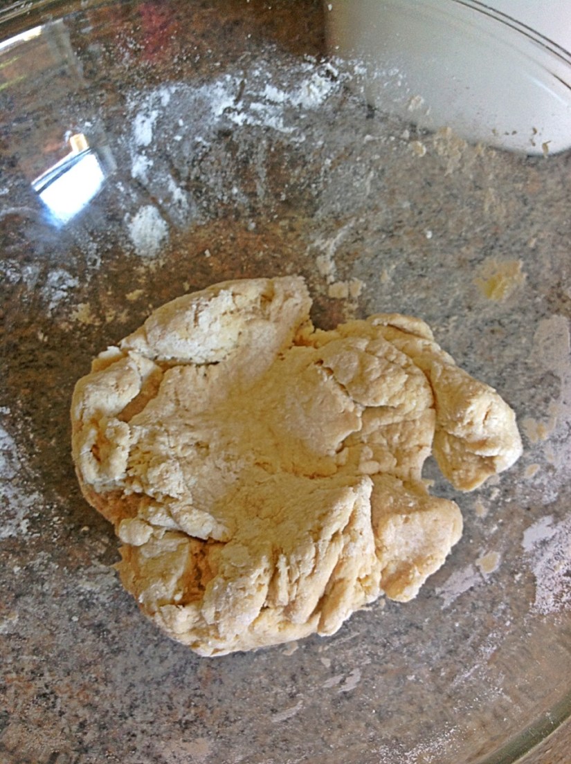 gnocchi dough 20120723-135621.jpg