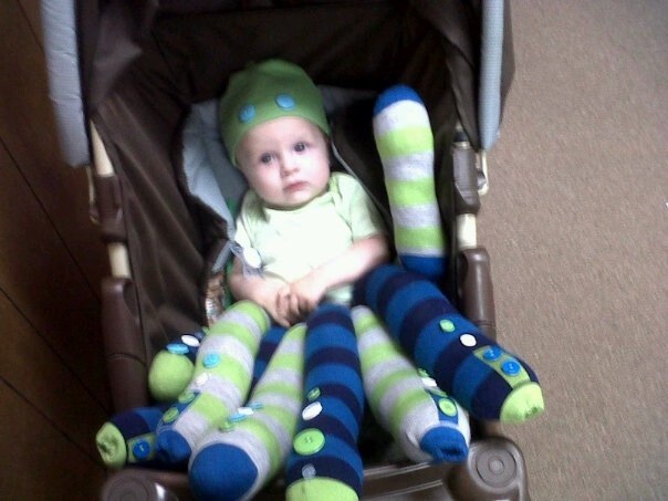 baby octopus 20120731-221824.jpg