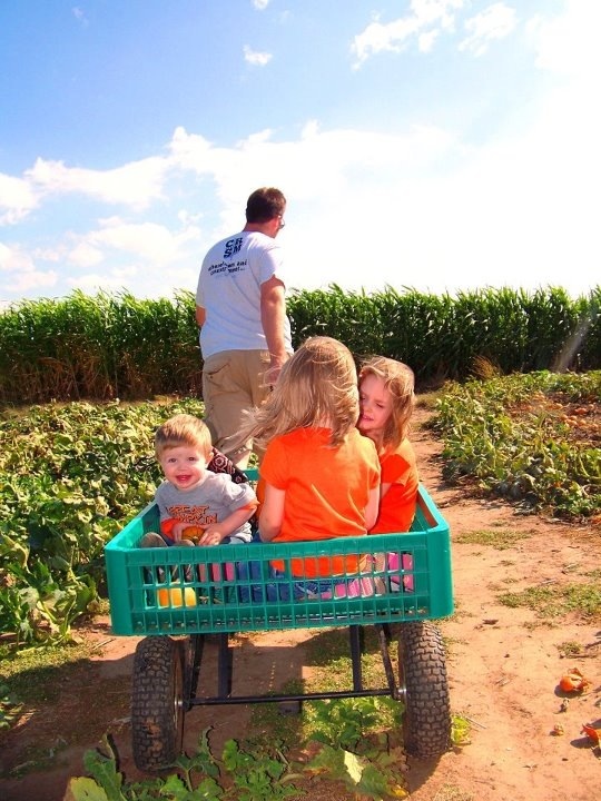 pumpkin patch 20120731-222453.jpg