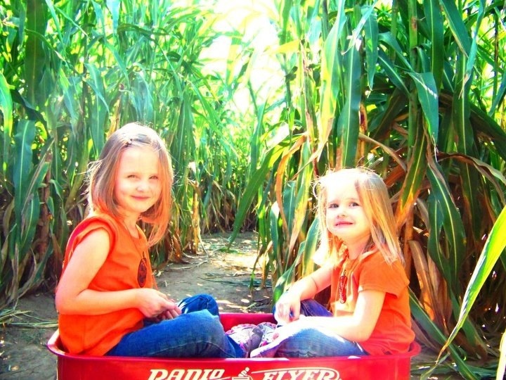 in the corn maze 20120731-222515.jpg