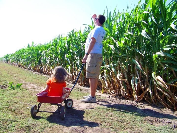 lost in the corn maze 20120731-222539.jpg