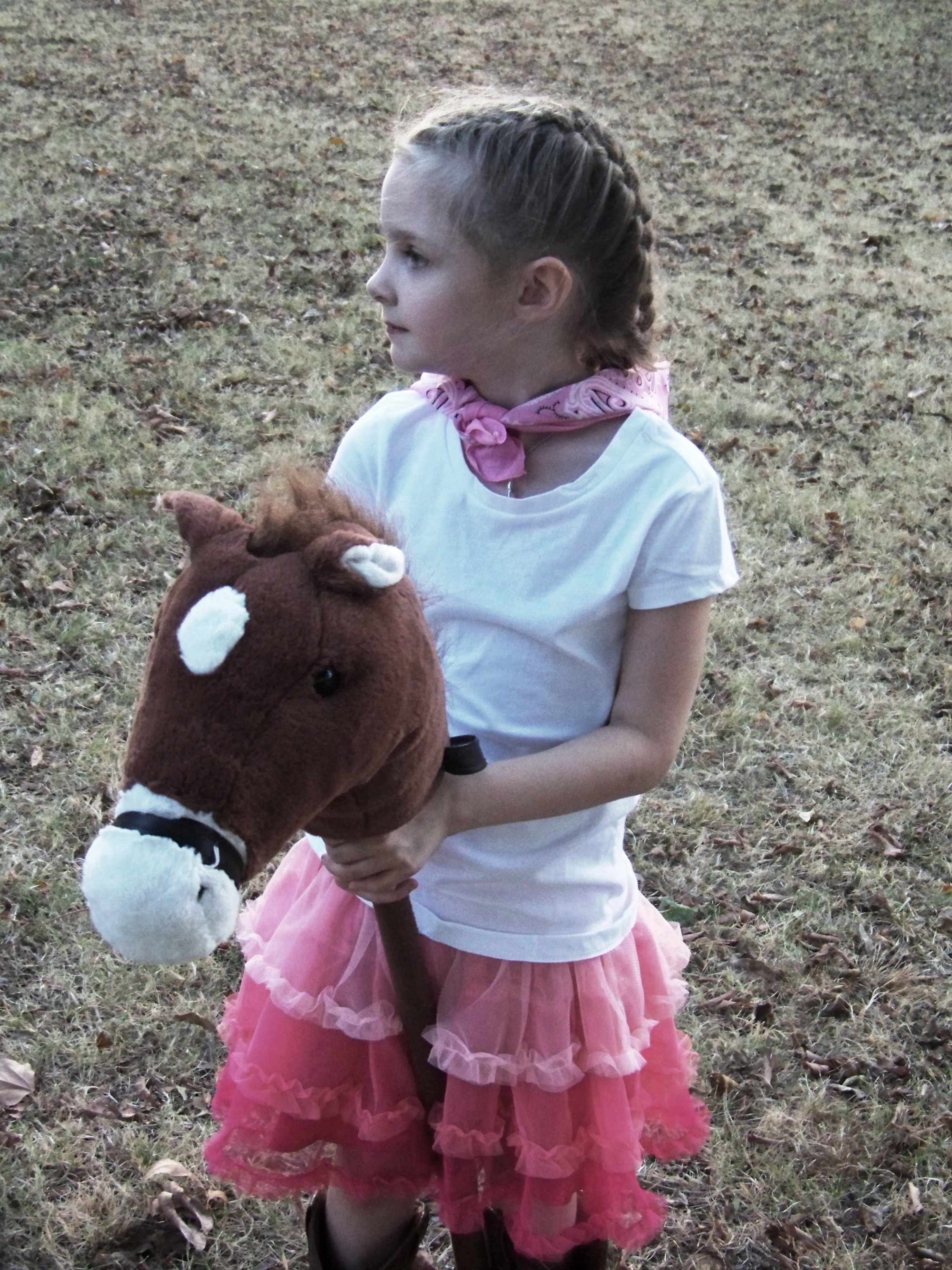 Pink Gingham Cowgirl Party – Sunshine Parties