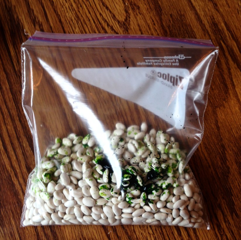 beans in bag with color